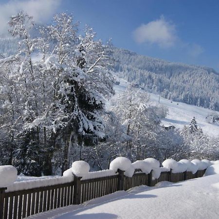 Alpbach Loft Lejlighed Eksteriør billede