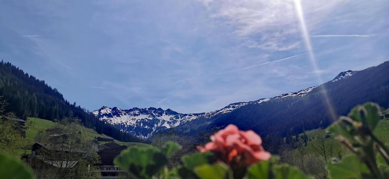 Alpbach Loft Lejlighed Eksteriør billede